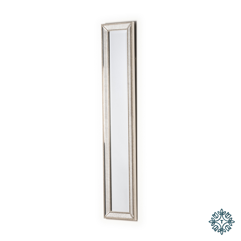 slim narrow wall mirror